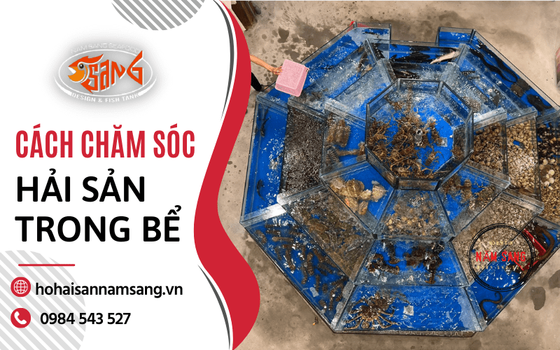 bể hải sản