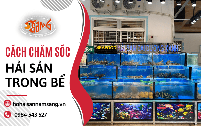 bể hải sản