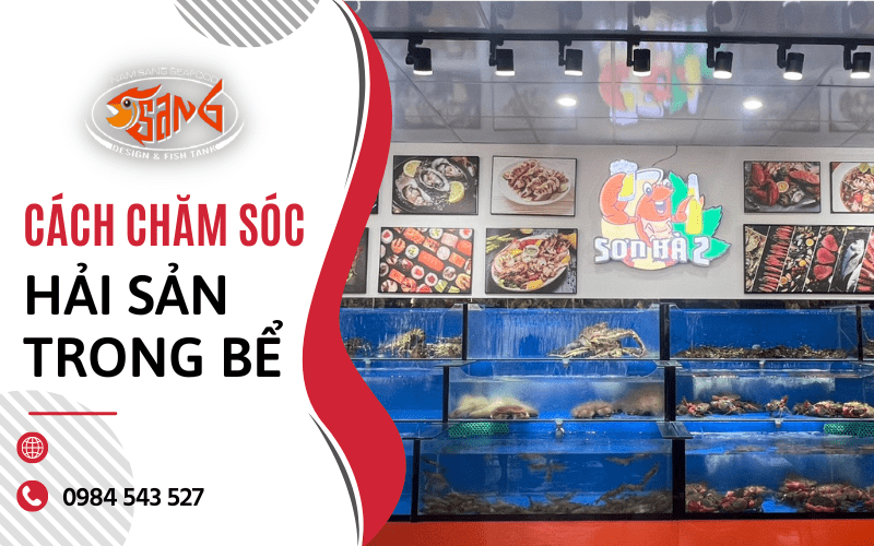bể hải sản