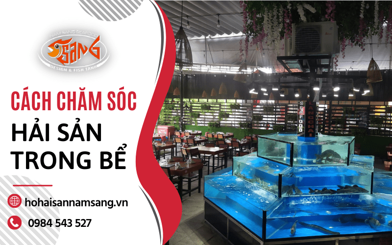 bể hải sản