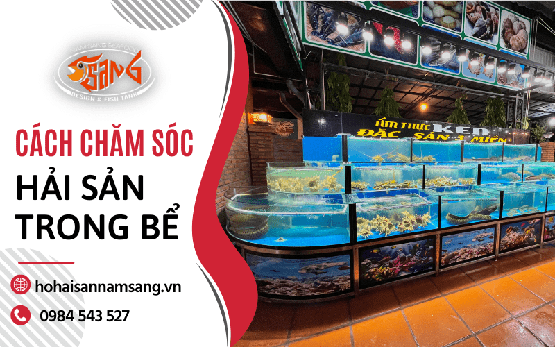 bể hải sản