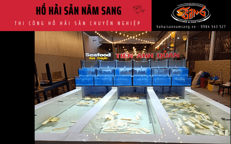 thi công hồ hải sản