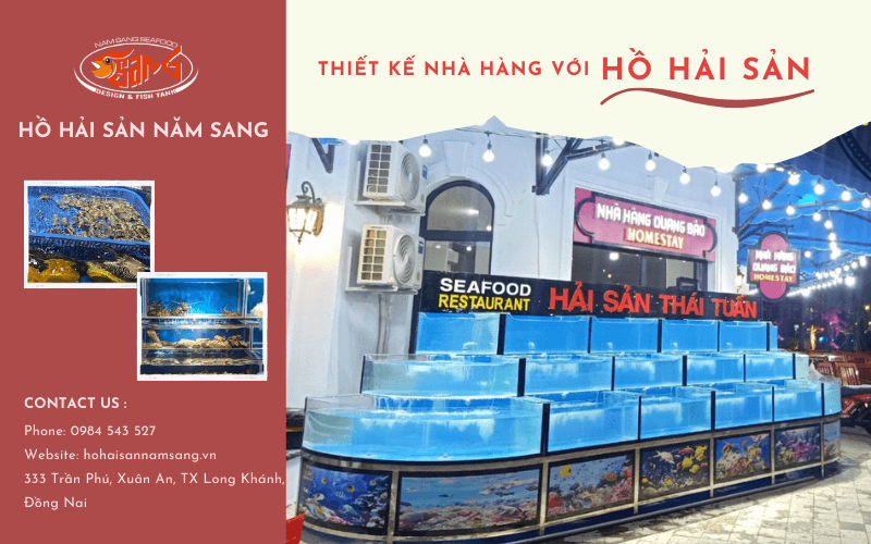 thiết kế hồ hải sản