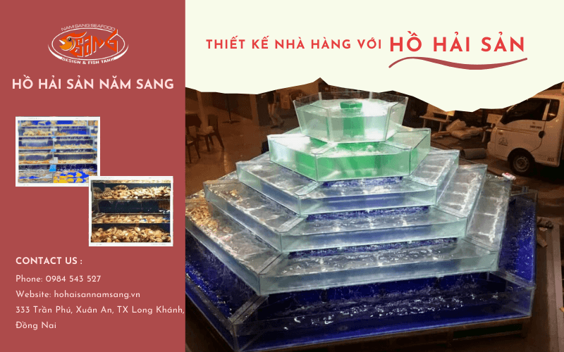 thiết kế hồ hải sản