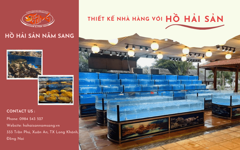 thiết kế hồ hải sản