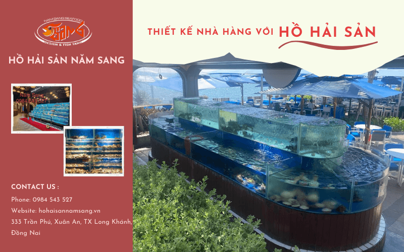 thiết kế hồ hải sản