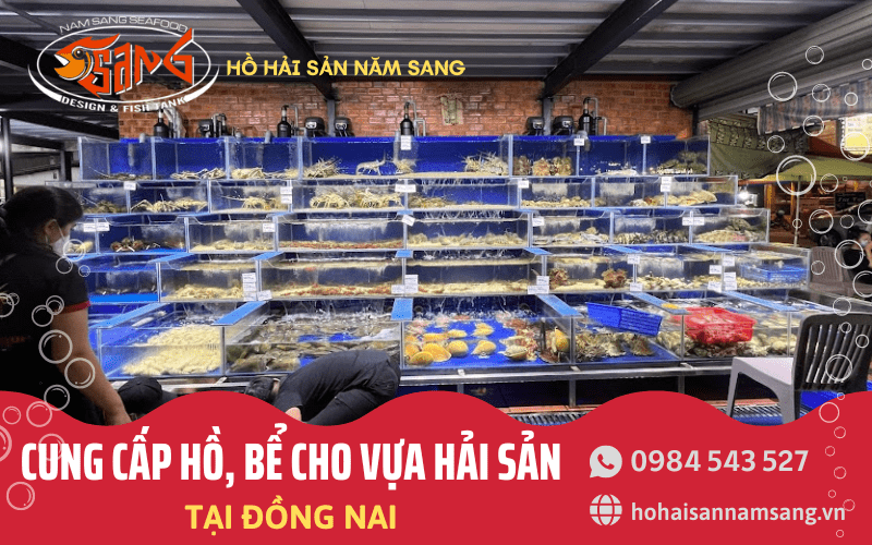 Hồ/bể cho vựa hải sản