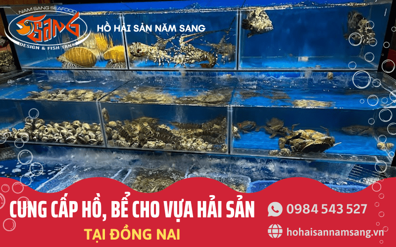 Hồ/bể cho vựa hải sản