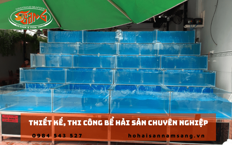 thi công bể hải sản
