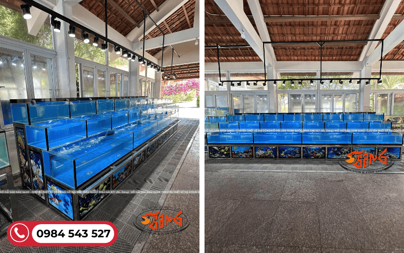 thi công hồ hải sản kính