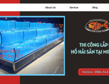 DỊCH VỤ THI CÔNG LẮP ĐẶT HỒ HẢI SẢN CHUYÊN NGHIỆP MIỀN NAM 