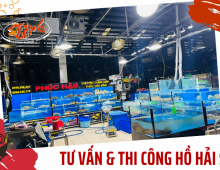 TƯ VẤN VÀ THI CÔNG TRỌN GÓI HỒ HẢI SẢN
