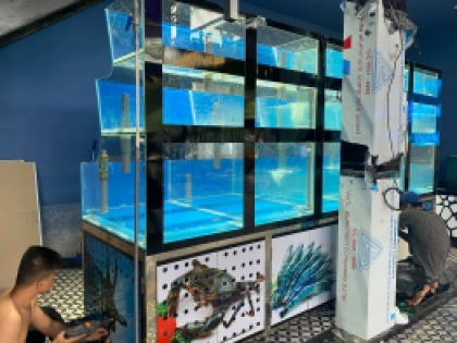 Tổng hợp mẫu thiết kế hồ hải sản đã thi công cho nhà hàng , quán ăn , vựa hải sản khắp miền nam