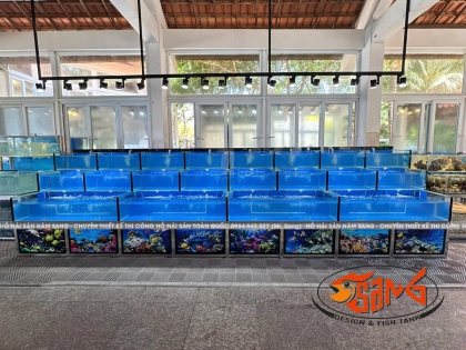 Nhà hàng Hải Âu Restaurant Hòn Cò: Nâng Tầm Trải Nghiệm Với Công Trình Hồ Hải Sản Mới