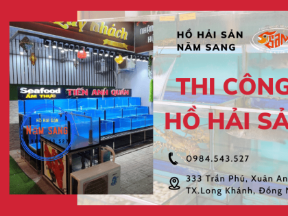 Khám phá quy trình thi công hồ hải sản cho nhà hàng tại Hồ hải sản Năm Sang