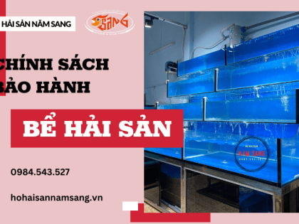 Mua bể hải sản tại Năm Sang - Nhận ngay chính sách bảo hành cực sốc