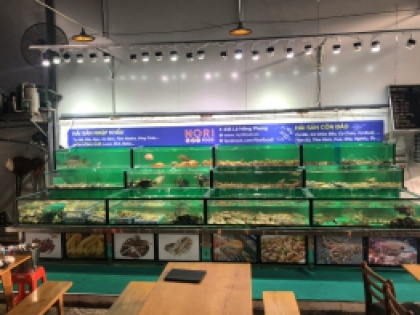 Thiết kế Hồ Hải Sản NORI-HẢI SẢN CÔN ĐẢO