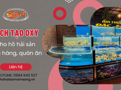 Cách tạo oxy cho hồ hải sản nhà hàng, quán ăn