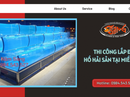 DỊCH VỤ THI CÔNG LẮP ĐẶT HỒ HẢI SẢN CHUYÊN NGHIỆP MIỀN NAM 