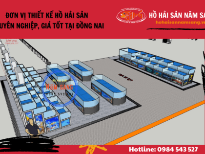 Đơn vị thiết kế hồ hải sản chuyên nghiệp, giá tốt tại Đồng Nai