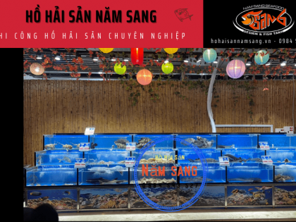 Hồ Hải Sản Năm Sang - Đơn vị thi công hồ hải sản chuyên nghiệp hàng đầu miền Nam