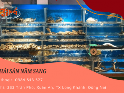 Năm Sang đem tới tương lai mới trong việc đa dạng thiết kế hồ hải sản cho khách hàng dễ dàng chọn lựa