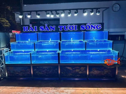 Thi Công Hồ Hải Sản Tươi Sống