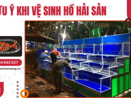 Những lưu ý khi vệ sinh hồ hải sản đúng cách