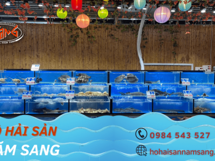 Nâng cấp không gian quán ăn với những chiếc hồ hải sản