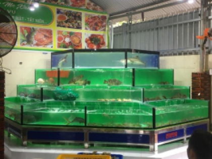 Thiết kế Hồ Hải Sản QUÁN CÂY ME XANH - BẦU CÁ - TRẢNG BƠM