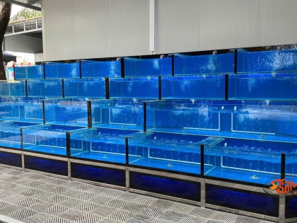 Thi công hồ cho nhà hàng Bên Sông Rạch Chiếc