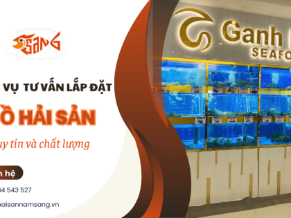 Năm Sang - Đơn vị cung cấp dịch vụ tư vấn lắp đặt hồ hải sản uy tín và chất lượng