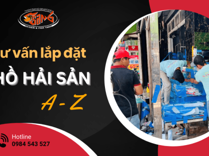 Tư vấn lắp đặt hồ hải sản trọn gói A – Z cho nhà hàng, quán ăn