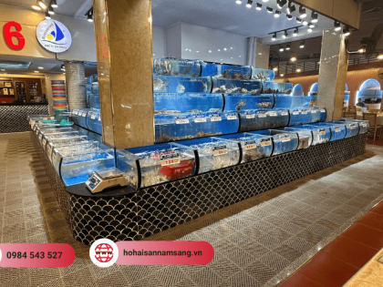 Công ty tư vấn, thiết kế, thi công hồ hải sản chuyên nghiệp uy tín tại miền Nam