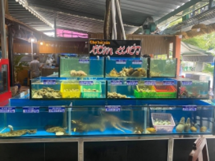 Thiết Kế Hồ Hải Sản Làng chài Xóm Lưới Thủ Đức