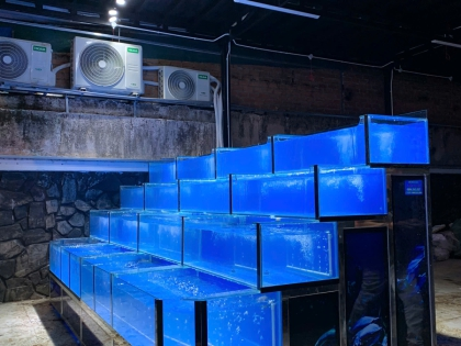 Công Trình Hồ Hải Sản Tràn 4 Tầng Bảo Lộc