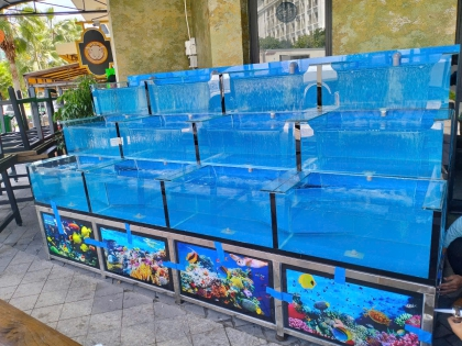 Thi Công Hồ Hải Sản ở Phú Quốc