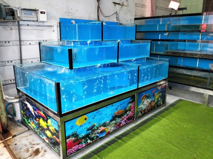 Thi Công Hồ 2m1 Trà Cổ