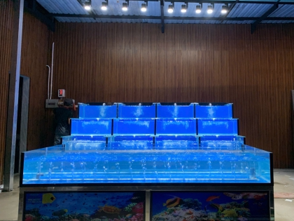 Thi Công Hồ Hải Sản Bình Thạnh HCM