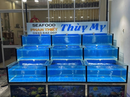 Thi công hồ hải sản kính 2m4