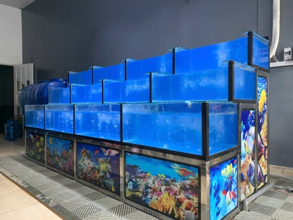 CÔNG TRÌNH HỒ HẢI SẢN CHO NHÀ HÀNG VŨ TIẾN | HỒ HẢI SẢN NĂM SANG