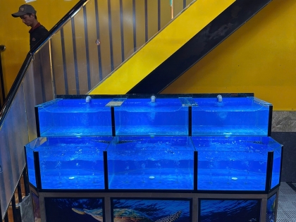 THI CÔNG HỒ HẢI SẢN NHỎ 