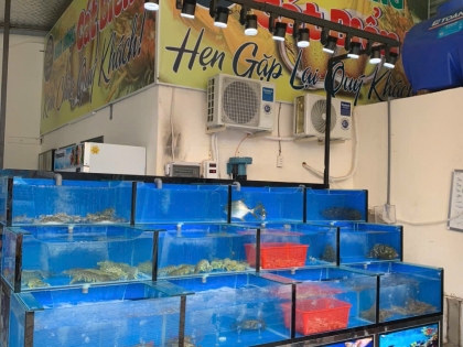 THI CÔNG HỒ HẢI SẢN QUÁN NHẬU TẠI VŨNG TÀU 