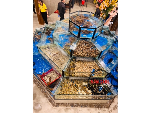 HỒ HẢI SẢN 106