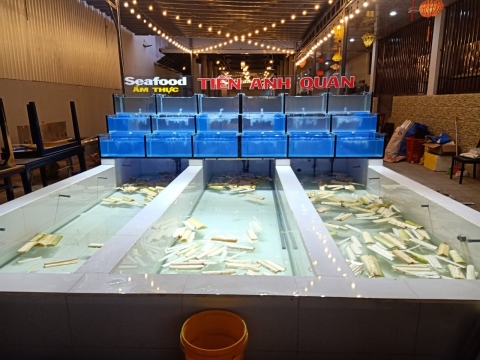 HỒ HẢI SẢN 138