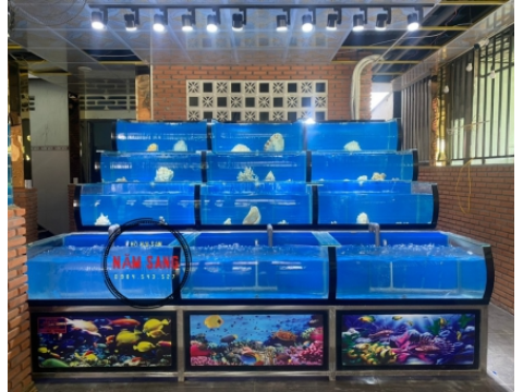 HỒ HẢI SẢN 181