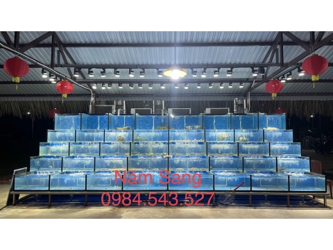 HỒ HẢI SẢN 61N