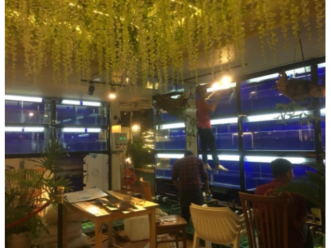 Thi công lắp đặt hồ hải sản nhà hàng