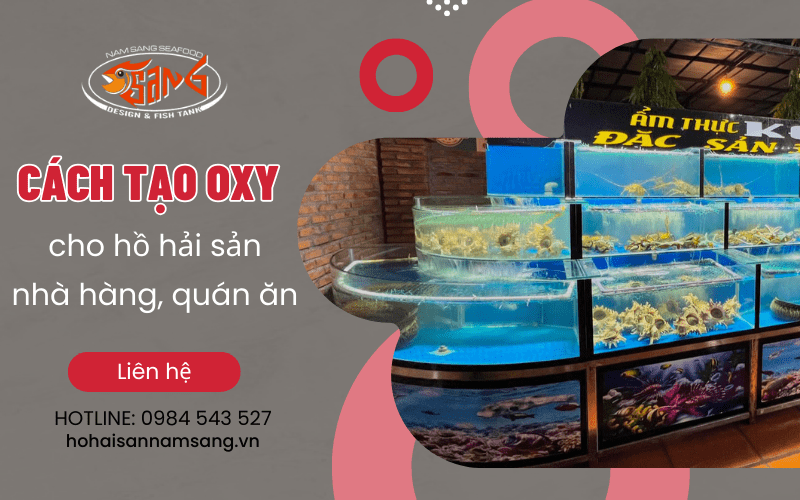 hồ hải sản nhà hàng