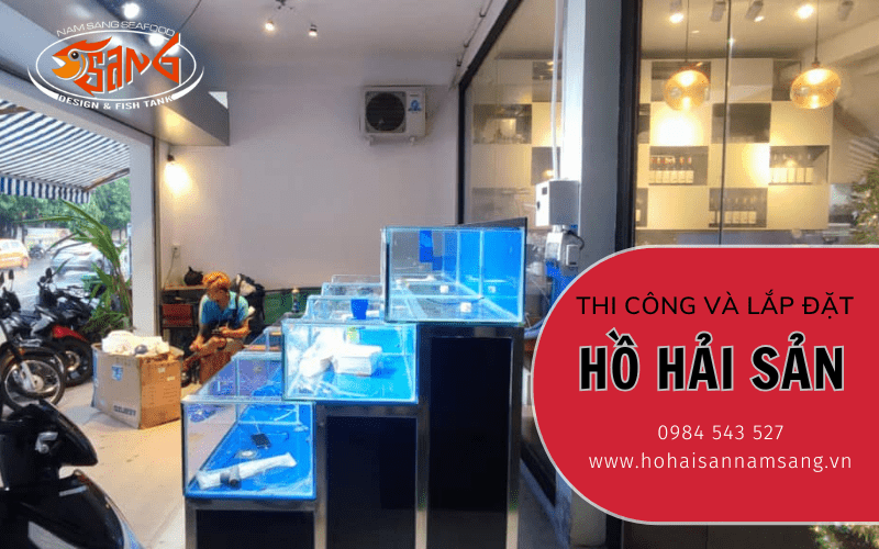 thi công lắp đặt hồ hải sản